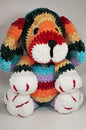 Rainbow Puppy Crochet Plushie